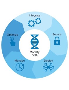 ZEBRA MOBILITY DNA