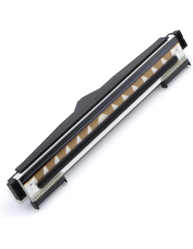 Zebra Głowica drukująca 203 dpi do ZD220/ZD230/ZD888 DT
