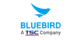 BLUEBIRD